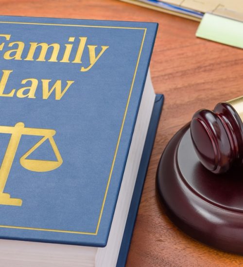 A,Law,Book,With,A,Gavel,-,Family,Law
